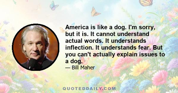 America is like a dog. I'm sorry, but it is. It cannot understand actual words. It understands inflection. It understands fear. But you can't actually explain issues to a dog.