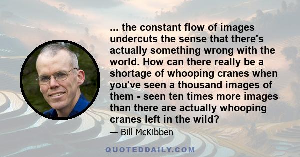 ... the constant flow of images undercuts the sense that there's actually something wrong with the world. How can there really be a shortage of whooping cranes when you've seen a thousand images of them - seen ten times 