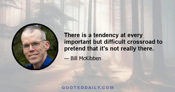 There is a tendency at every important but difficult crossroad to pretend that it's not really there.