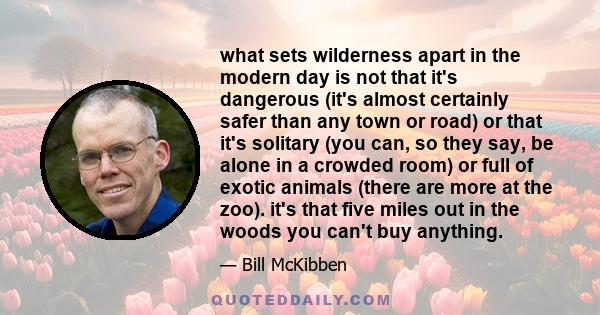 what sets wilderness apart in the modern day is not that it's dangerous (it's almost certainly safer than any town or road) or that it's solitary (you can, so they say, be alone in a crowded room) or full of exotic