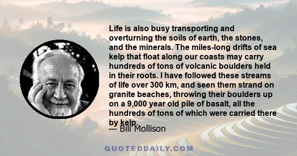 Life is also busy transporting and overturning the soils of earth, the stones, and the minerals. The miles-long drifts of sea kelp that float along our coasts may carry hundreds of tons of volcanic boulders held in