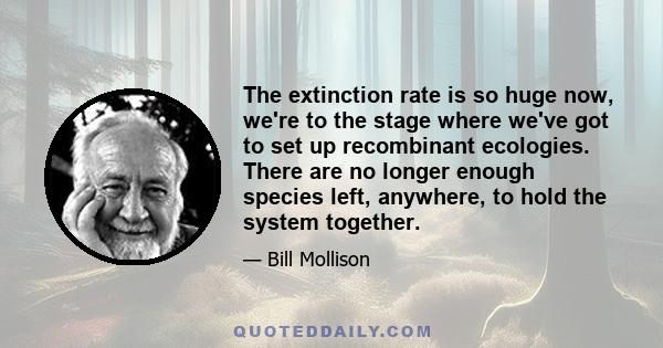 The extinction rate is so huge now, we're to the stage where we've got to set up recombinant ecologies. There are no longer enough species left, anywhere, to hold the system together.