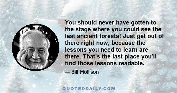 You should never have gotten to the stage where you could see the last ancient forests! Just get out of there right now, because the lessons you need to learn are there. That's the last place you'll find those lessons