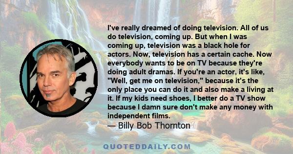 I've really dreamed of doing television. All of us do television, coming up. But when I was coming up, television was a black hole for actors. Now, television has a certain cache. Now everybody wants to be on TV because 