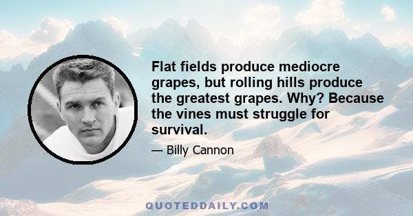 Flat fields produce mediocre grapes, but rolling hills produce the greatest grapes. Why? Because the vines must struggle for survival.