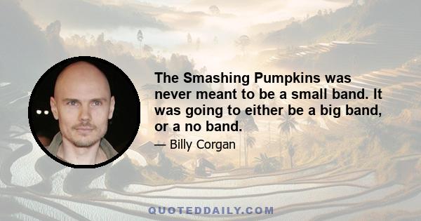 The Smashing Pumpkins was never meant to be a small band. It was going to either be a big band, or a no band.