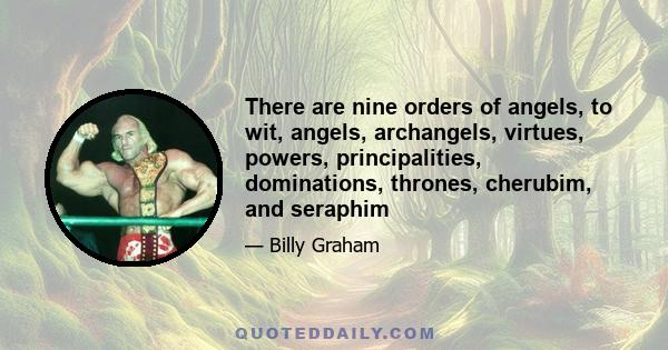 There are nine orders of angels, to wit, angels, archangels, virtues, powers, principalities, dominations, thrones, cherubim, and seraphim