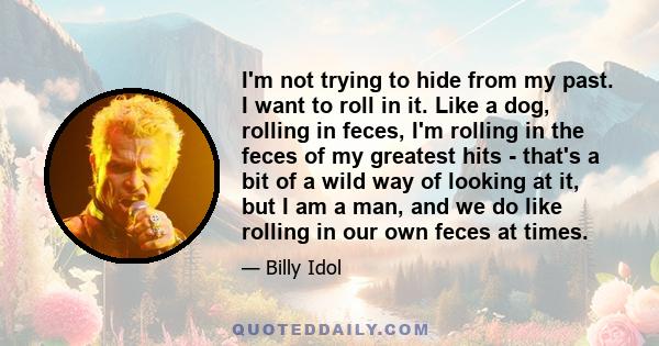 I'm not trying to hide from my past. I want to roll in it. Like a dog, rolling in feces, I'm rolling in the feces of my greatest hits - that's a bit of a wild way of looking at it, but I am a man, and we do like rolling 