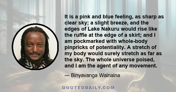 It is a pink and blue feeling, as sharp as clear sky; a slight breeze, and the edges of Lake Nakuru would rise like the ruffle at the edge of a skirt; and I am pockmarked with whole-body pinpricks of potentiality. A