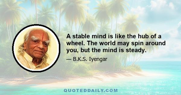 A stable mind is like the hub of a wheel. The world may spin around you, but the mind is steady.