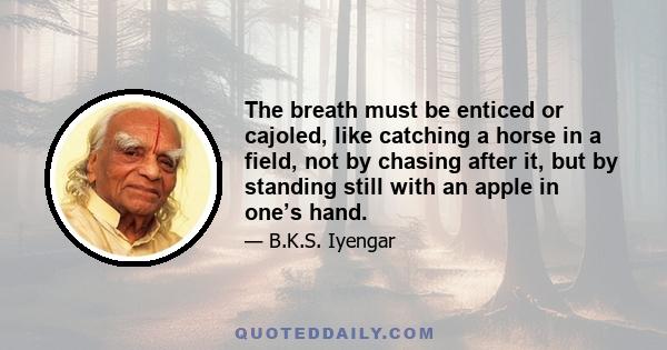 The breath must be enticed or cajoled, like catching a horse in a field, not by chasing after it, but by standing still with an apple in one’s hand.