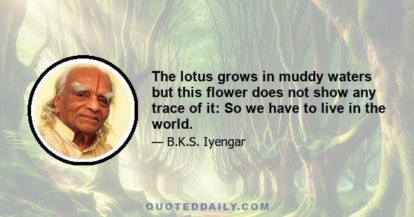 The lotus grows in muddy waters but this flower does not show any trace of it: So we have to live in the world.