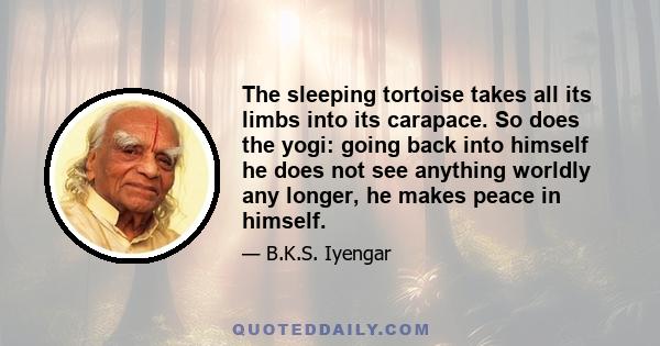 The sleeping tortoise takes all its limbs into its carapace. So does the yogi: going back into himself he does not see anything worldly any longer, he makes peace in himself.