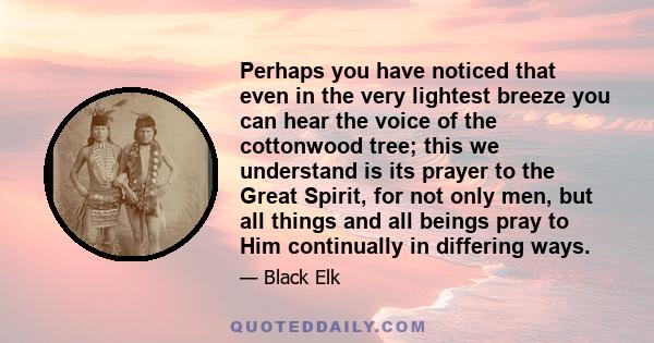 Perhaps you have noticed that even in the very lightest breeze you can hear the voice of the cottonwood tree; this we understand is its prayer to the Great Spirit, for not only men, but all things and all beings pray to 