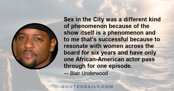 Sex in the City was a different kind of phenomenon because of the show itself is a phenomenon and to me that's successful because to resonate with women across the board for six years and have only one African-American