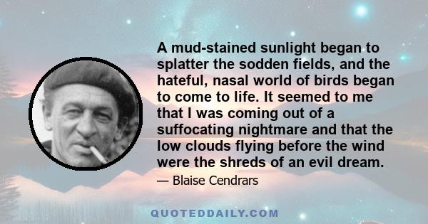 A mud-stained sunlight began to splatter the sodden fields, and the hateful, nasal world of birds began to come to life. It seemed to me that I was coming out of a suffocating nightmare and that the low clouds flying