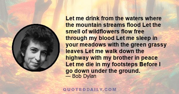 Let me drink from the waters where the mountain streams flood Let the smell of wildflowers flow free through my blood Let me sleep in your meadows with the green grassy leaves Let me walk down the highway with my