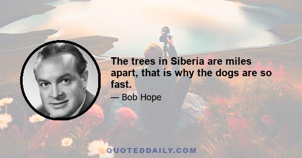 The trees in Siberia are miles apart, that is why the dogs are so fast.