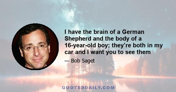 I have the brain of a German Shepherd and the body of a 16-year-old boy; they’re both in my car and I want you to see them