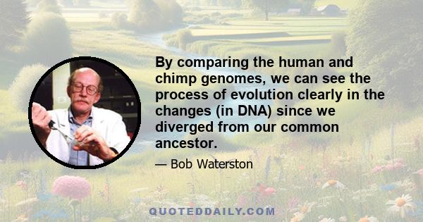 By comparing the human and chimp genomes, we can see the process of evolution clearly in the changes (in DNA) since we diverged from our common ancestor.