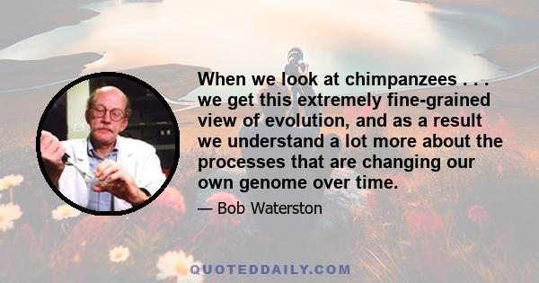 When we look at chimpanzees . . . we get this extremely fine-grained view of evolution, and as a result we understand a lot more about the processes that are changing our own genome over time.