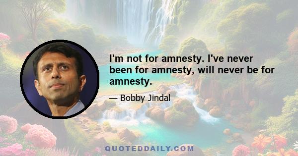 I'm not for amnesty. I've never been for amnesty, will never be for amnesty.