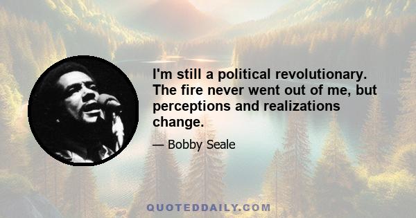 I'm still a political revolutionary. The fire never went out of me, but perceptions and realizations change.