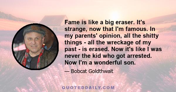 Fame is like a big eraser. It's strange, now that I'm famous. In my parents' opinion, all the shitty things - all the wreckage of my past - is erased. Now it's like I was never the kid who got arrested. Now I'm a