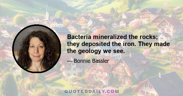 Bacteria mineralized the rocks; they deposited the iron. They made the geology we see.