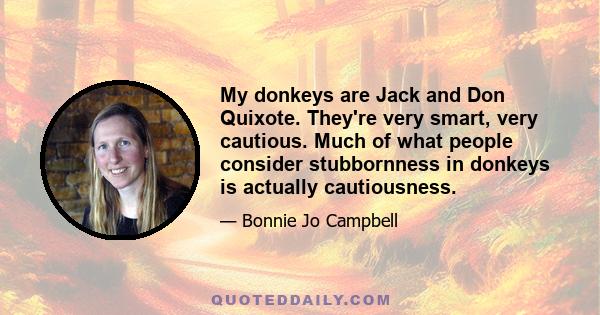 My donkeys are Jack and Don Quixote. They're very smart, very cautious. Much of what people consider stubbornness in donkeys is actually cautiousness.