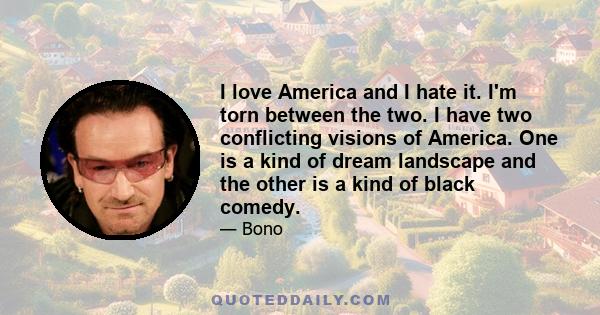 I love America and I hate it. I'm torn between the two. I have two conflicting visions of America. One is a kind of dream landscape and the other is a kind of black comedy.