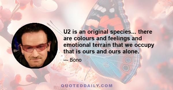 U2 is an original species... there are colours and feelings and emotional terrain that we occupy that is ours and ours alone.