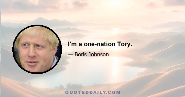 I'm a one-nation Tory.