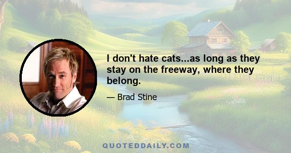 I don't hate cats...as long as they stay on the freeway, where they belong.