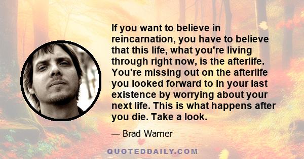 If you want to believe in reincarnation, you have to believe that this life, what you're living through right now, is the afterlife. You're missing out on the afterlife you looked forward to in your last existence by