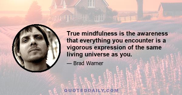 True mindfulness is the awareness that everything you encounter is a vigorous expression of the same living universe as you.