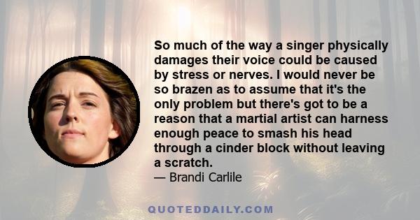 So much of the way a singer physically damages their voice could be caused by stress or nerves. I would never be so brazen as to assume that it's the only problem but there's got to be a reason that a martial artist can 