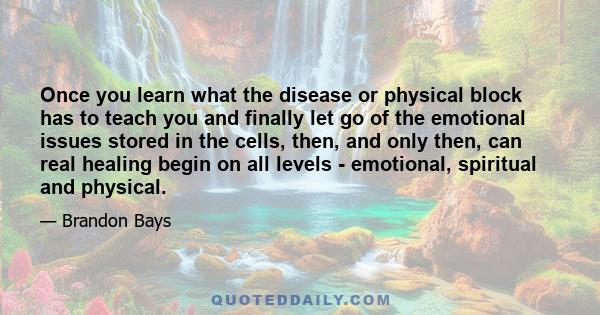 Once you learn what the disease or physical block has to teach you and finally let go of the emotional issues stored in the cells, then, and only then, can real healing begin on all levels - emotional, spiritual and