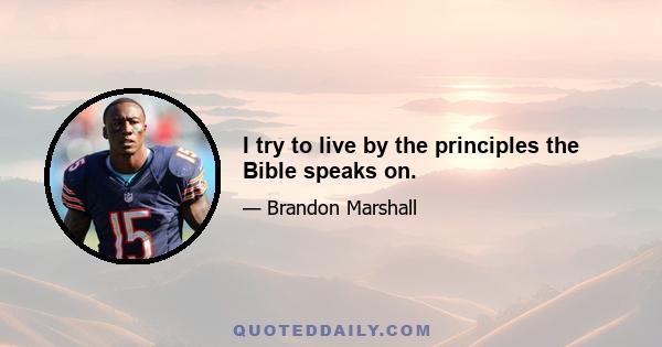 I try to live by the principles the Bible speaks on.