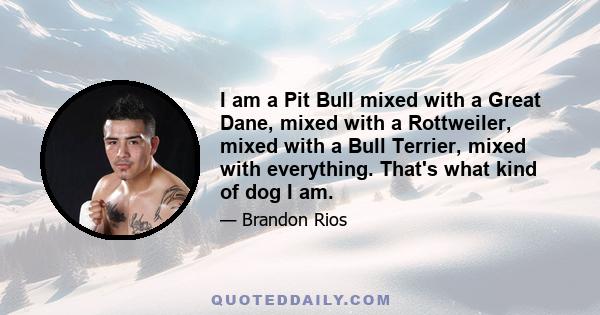 I am a Pit Bull mixed with a Great Dane, mixed with a Rottweiler, mixed with a Bull Terrier, mixed with everything. That's what kind of dog I am.