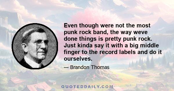 Even though were not the most punk rock band, the way weve done things is pretty punk rock. Just kinda say it with a big middle finger to the record labels and do it ourselves.