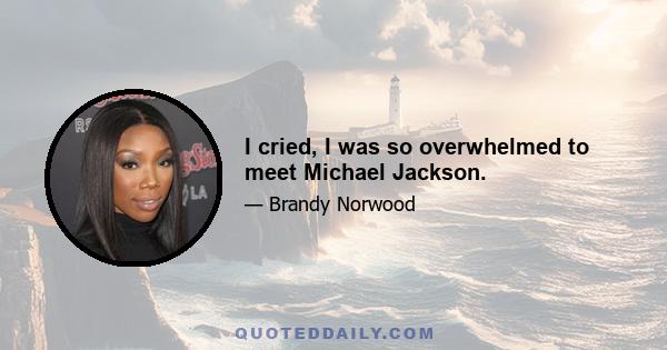 I cried, I was so overwhelmed to meet Michael Jackson.