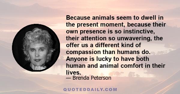 Because animals seem to dwell in the present moment, because their own presence is so instinctive, their attention so unwavering, the offer us a different kind of compassion than humans do. Anyone is lucky to have both