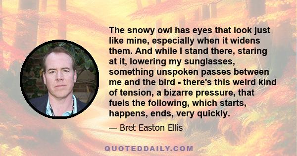 The snowy owl has eyes that look just like mine, especially when it widens them. And while I stand there, staring at it, lowering my sunglasses, something unspoken passes between me and the bird - there's this weird