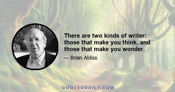 There are two kinds of writer: those that make you think, and those that make you wonder.