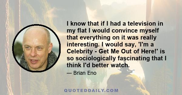 I know that if I had a television in my flat I would convince myself that everything on it was really interesting. I would say, 'I'm a Celebrity - Get Me Out of Here!' is so sociologically fascinating that I think I'd