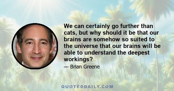 We can certainly go further than cats, but why should it be that our brains are somehow so suited to the universe that our brains will be able to understand the deepest workings?