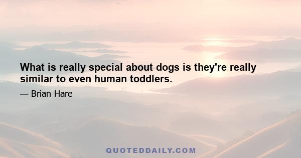 What is really special about dogs is they're really similar to even human toddlers.