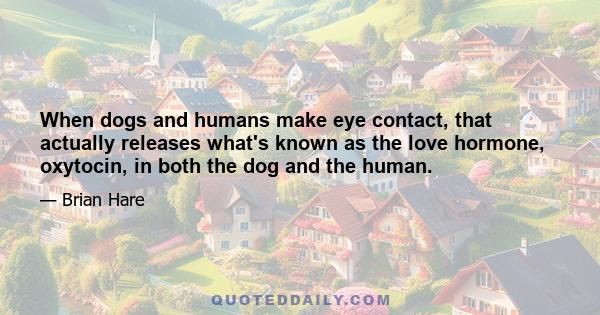 When dogs and humans make eye contact, that actually releases what's known as the love hormone, oxytocin, in both the dog and the human.