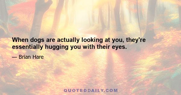 When dogs are actually looking at you, they're essentially hugging you with their eyes.